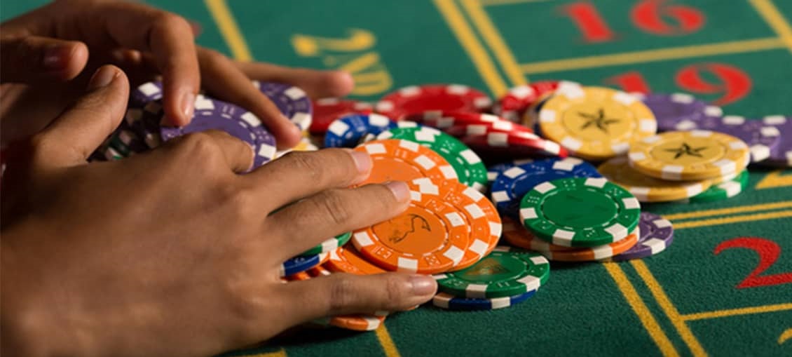 satta matka records Official Platform, satta matka records, cricbet365 id whatsapp number